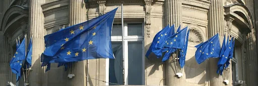 The Opinion of the Open Spending EU Coalition on the Financial Regulation recast